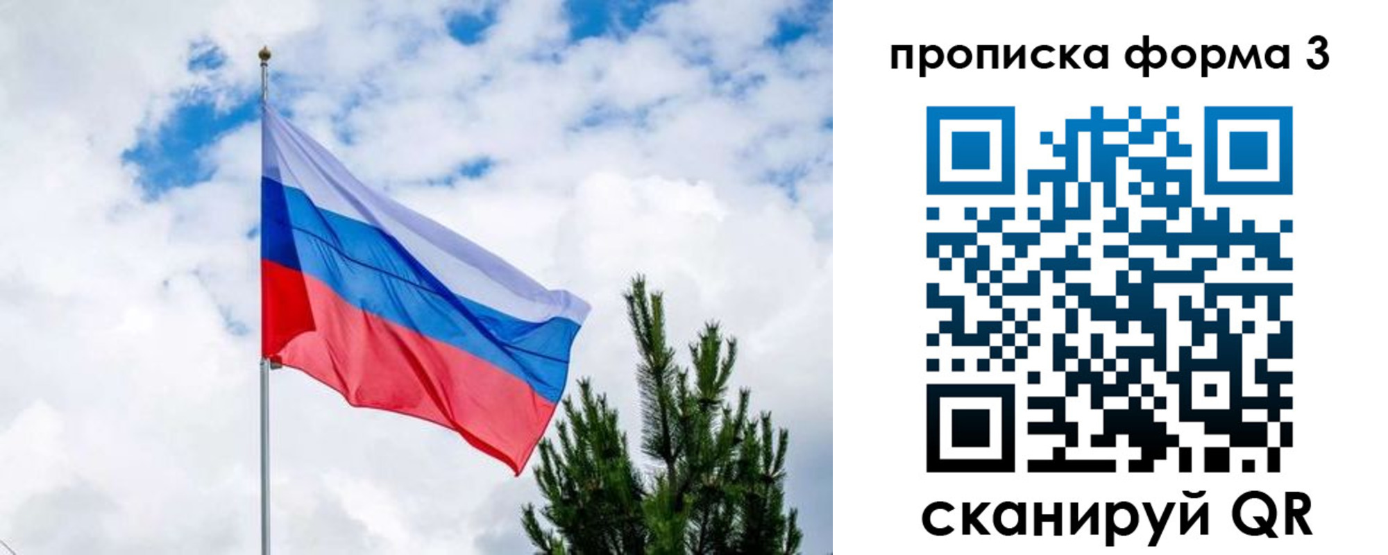прописка для школы в Карталах